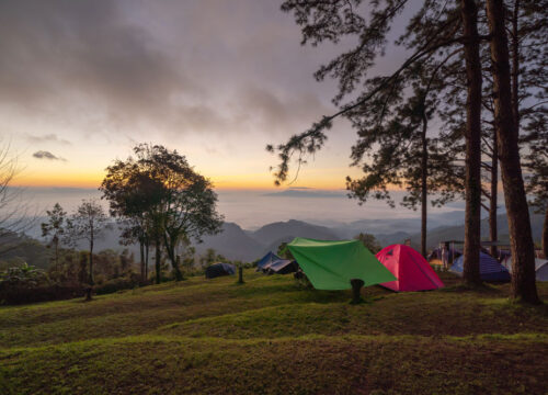 Camping