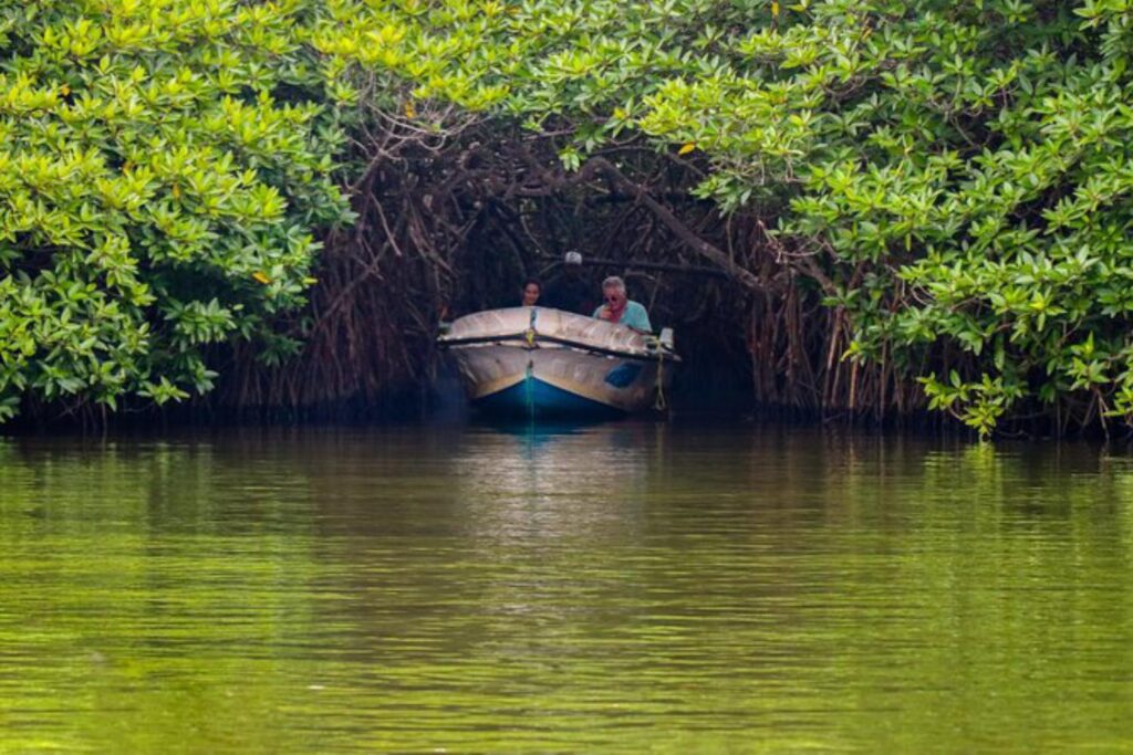 maduriver